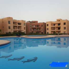كوميتا بيتش ايجى مون ترافل